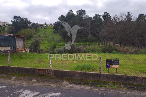 Helårsgrund i Chamusca, Santarem, Chamusca - € 37.600 | Ref: 058390 - foto 6