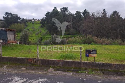 Helårsgrund i Chamusca, Santarem, Chamusca - € 37.600 | Ref: 058390 - foto 7