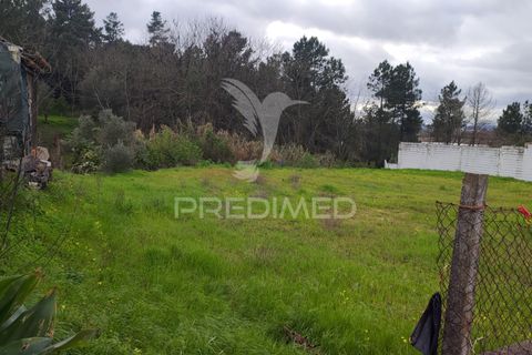 Helårsgrund i Chamusca, Santarem, Chamusca - € 37.600 | Ref: 058390 - foto 8