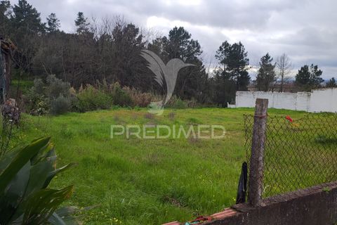 Helårsgrund i Chamusca, Santarem, Chamusca - € 37.600 | Ref: 058390 - foto 9