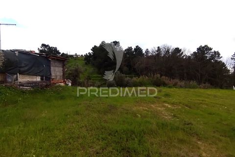 Helårsgrund i Chamusca, Santarem, Chamusca - € 37.600 | Ref: 058390 - foto 10