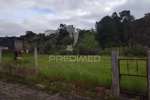 Helårsgrund i Chamusca, Santarem, Chamusca - € 37.600 | Ref: 058390 - foto 12