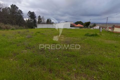 Helårsgrund i Chamusca, Santarem, Chamusca - € 37.600 | Ref: 058390 - foto 15