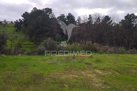 Helårsgrund i Chamusca, Santarem, Chamusca - € 37.600 | Ref: 058390 - foto 16