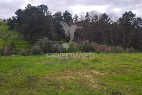Helårsgrund i Chamusca, Santarem, Chamusca - € 37.600 | Ref: 058390 - foto 17