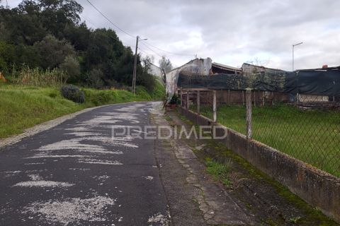 Helårsgrund i Chamusca, Santarem, Chamusca - € 37.600 | Ref: 058390 - foto 21