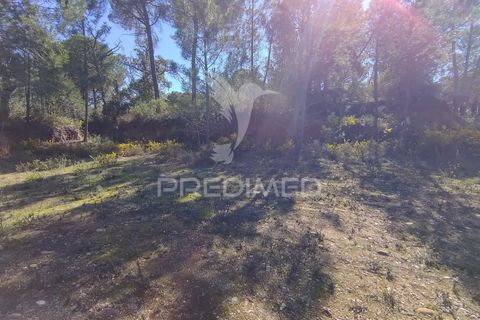 Grond in Constancia, Santarem, Constancia - € 13.500 | Ref: 058517 - foto 2