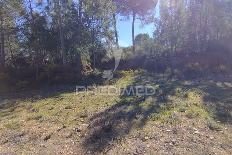 Grond in Constancia, Santarem, Constancia - € 13.500 | Ref: 058517 - foto 3