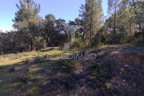 Grond in Constancia, Santarem, Constancia - € 13.500 | Ref: 058517 - foto 4
