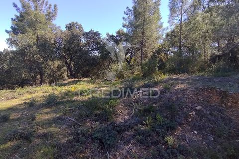 Grond in Constancia, Santarem, Constancia - € 13.500 | Ref: 058517 - foto 5