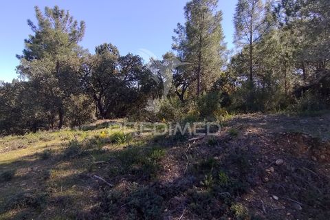 Grond in Constancia, Santarem, Constancia - € 13.500 | Ref: 058517 - foto 6