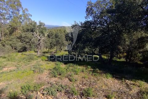 Grond in Constancia, Santarem, Constancia - € 13.500 | Ref: 058517 - foto 7
