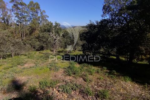 Grond in Constancia, Santarem, Constancia - € 13.500 | Ref: 058517 - foto 8