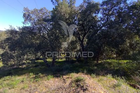 Grond in Constancia, Santarem, Constancia - € 13.500 | Ref: 058517 - foto 9