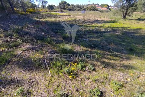 Grond in Constancia, Santarem, Constancia - € 13.500 | Ref: 058517 - foto 10
