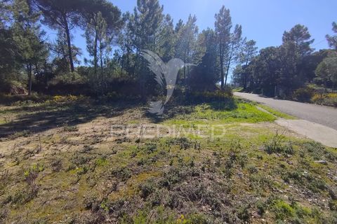 Grond in Constancia, Santarem, Constancia - € 13.500 | Ref: 058517 - foto 11