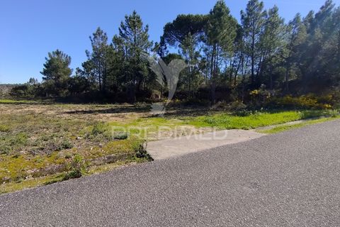 Grond in Constancia, Santarem, Constancia - € 13.500 | Ref: 058517 - foto 12