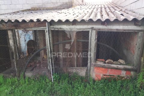 Helårsgrund i Mangualde, Viseu, Mangualde - € 49.500 | Ref: 058531 - foto 4