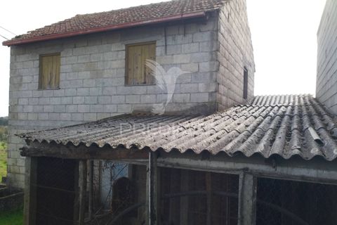 Helårsgrund i Mangualde, Viseu, Mangualde - € 49.500 | Ref: 058531 - foto 5
