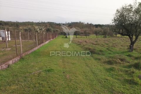 Helårsgrund i Mangualde, Viseu, Mangualde - € 49.500 | Ref: 058531 - foto 6