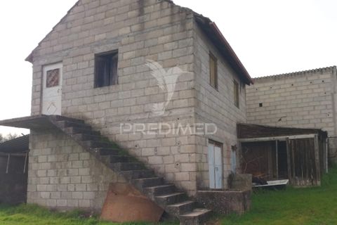 Helårsgrund i Mangualde, Viseu, Mangualde - € 49.500 | Ref: 058531 - foto 9