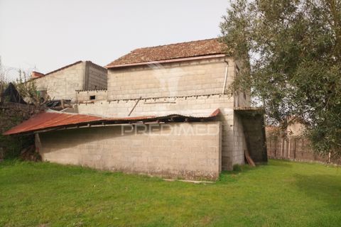 Helårsgrund i Mangualde, Viseu, Mangualde - € 49.500 | Ref: 058531 - foto 11