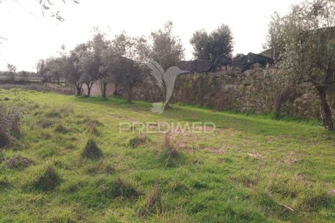 Helårsgrund i Mangualde, Viseu, Mangualde - € 49.500 | Ref: 058531 - foto 12