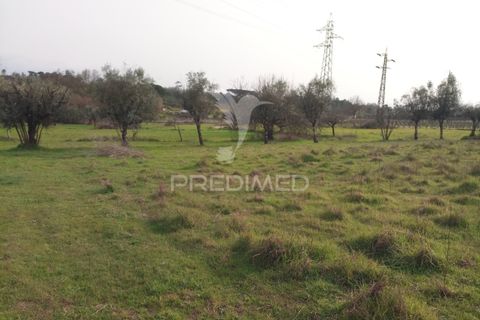 Helårsgrund i Mangualde, Viseu, Mangualde - € 49.500 | Ref: 058531 - foto 13