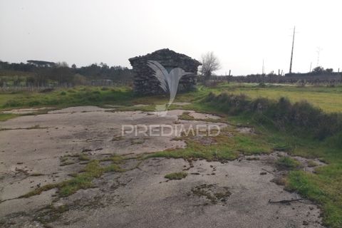 Helårsgrund i Mangualde, Viseu, Mangualde - € 49.500 | Ref: 058531 - foto 16