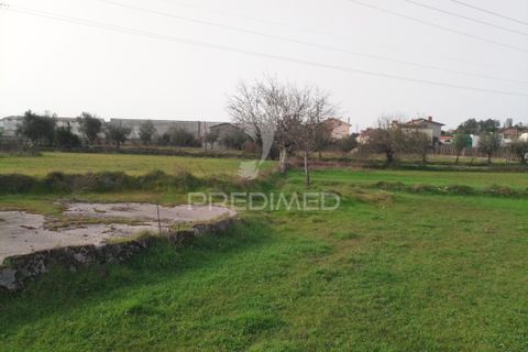 Helårsgrund i Mangualde, Viseu, Mangualde - € 49.500 | Ref: 058531 - foto 17