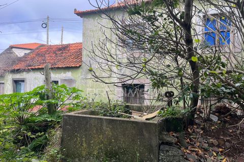 Byhus i Calheta, Madeira, Calheta - € 185.000 | Ref: 058552 - foto 1
