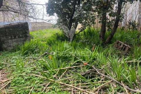 Byhus i Calheta, Madeira, Calheta - € 185.000 | Ref: 058552 - foto 6