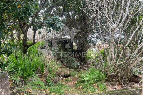 Byhus i Calheta, Madeira, Calheta - € 185.000 | Ref: 058552 - foto 8