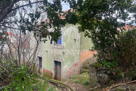 Byhus i Calheta, Madeira, Calheta - € 185.000 | Ref: 058552 - foto 9