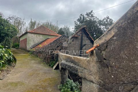 Byhus i Calheta, Madeira, Calheta - € 185.000 | Ref: 058552 - foto 10