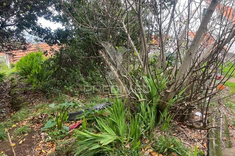 Byhus i Calheta, Madeira, Calheta - € 185.000 | Ref: 058552 - foto 11