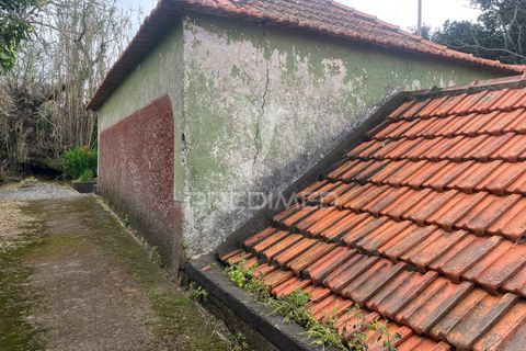 Byhus i Calheta, Madeira, Calheta - € 185.000 | Ref: 058552 - foto 12