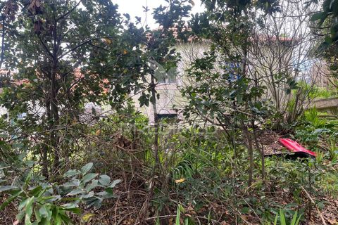 Byhus i Calheta, Madeira, Calheta - € 185.000 | Ref: 058552 - foto 13