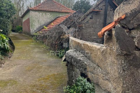 Byhus i Calheta, Madeira, Calheta - € 185.000 | Ref: 058552 - foto 14