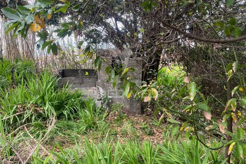 Byhus i Calheta, Madeira, Calheta - € 185.000 | Ref: 058552 - foto 15