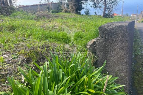 Byhus i Calheta, Madeira, Calheta - € 185.000 | Ref: 058552 - foto 16