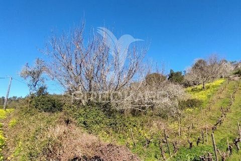 Helårsgrund i Torres Vedras, Lisbon, Torres Vedras - € 49.900 | Ref: 058654 - foto 1