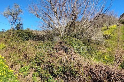 Helårsgrund i Torres Vedras, Lisbon, Torres Vedras - € 49.900 | Ref: 058654 - foto 2