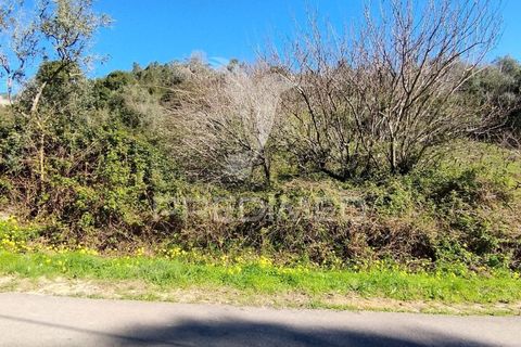Helårsgrund i Torres Vedras, Lisbon, Torres Vedras - € 49.900 | Ref: 058654 - foto 4