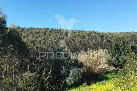 Helårsgrund i Torres Vedras, Lisbon, Torres Vedras - € 49.900 | Ref: 058654 - foto 5