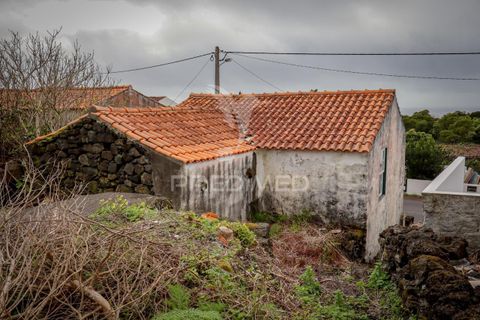 Byhus i Madalena, Pico, Madalena - € 75.000 | Ref: 058660 - foto 10