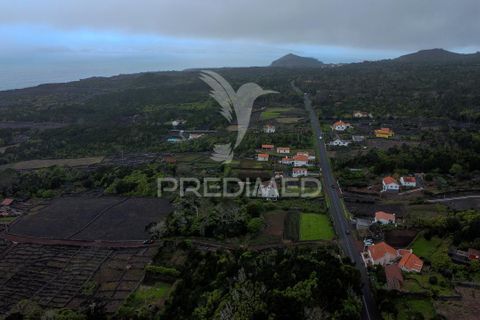 Byhus i Madalena, Pico, Madalena - € 75.000 | Ref: 058660 - foto 15