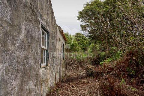 Byhus i Madalena, Pico, Madalena - € 75.000 | Ref: 058660 - foto 16