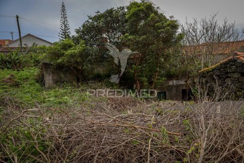 Byhus i Madalena, Pico, Madalena - € 75.000 | Ref: 058660 - foto 19