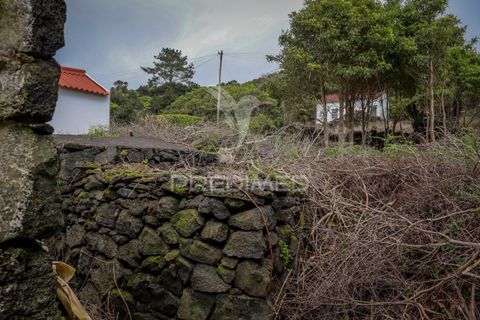 Byhus i Madalena, Pico, Madalena - € 75.000 | Ref: 058660 - foto 25